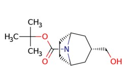 eMolecules​ tert-butyl endo-3-(hydroxymethyl)-8-azabicyclo[3.2.1]octane-8-carboxylate
