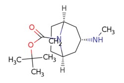 eMolecules​ tert-butyl exo-3-(methylamino)-9-azabicyclo[3.3.1]nonane-9-carboxylate
