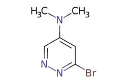 eMolecules​ 6-bromo-N,N-dimethylpyridazin-4-amine | 1619987-51-7 | MFCD29041486