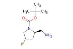 eMolecules​&nbsp;tert-butyl (2R,4S)-2-(aminomethyl)-4-fluoropyrrolidine-1-carboxylate | 1627972-84-2 |  | 1g