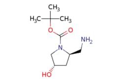eMolecules​&nbsp;1932437-94-9 | tert-butyl (2R,4S)-2-(aminomethyl)-4-hydroxypyrrolidine-1-carboxylate | Pharmablock216.281 | C10H20N2O3 | 97.000 | CC(C)(C)OC(=O)N1C[C@@H](O)C[C@@H]1CN | 1g | 551177958