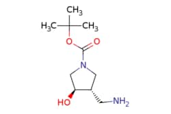 eMolecules​ tert-butyl (3S,4R)-3-(aminomethyl)-4-hydroxypyrrolidine-1-carboxylate | 1932297-00-1 | MFCD20923565 | 1g