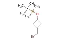 eMolecules​&nbsp;[3-(bromomethyl)cyclobutoxy](tert-butyl)dimethylsilane | 2169182-97-0 |  | 1g