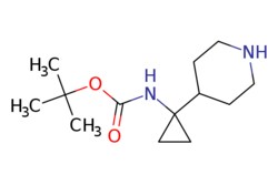 eMolecules​ tert-butyl N-[1-(4-piperidyl)cyclopropyl]carbamate | 1330766-47-6 | MFCD20231257 | 1g