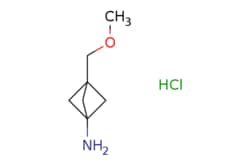 eMolecules​ 3-(methoxymethyl)bicyclo[1.1.1]pentan-1-amine;hydrochloride