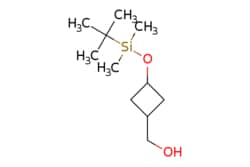 eMolecules​ {3-[(tert-butyldimethylsilyl)oxy]cyclobutyl}methanol | 1394119-83-5 | MFCD23106334 | 1g