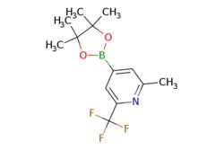 eMolecules​&nbsp;2-methyl-4-(4,4,5,5-tetramethyl-1,3,2-dioxaborolan-2-yl)-6-(trifluoromethyl)pyridine | 1321518-03-9 | MFCD18723339 | 1g