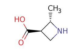 eMolecules​ trans-2-methylazetidine-3-carboxylic acid | 1g, Quantity: Each