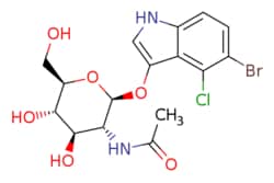 eMolecules​ 5-Bromo-4-chloro-3-indolyl N-acetyl-beta-D-glucosamidine | 4264-82-8 | MFCD00040631 | 1g