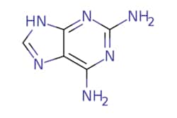 eMolecules​ 9H-Purine-2,6-diamine | 1904-98-9 | MFCD00071537 | 5g, Quantity:
