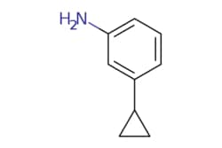 eMolecules​&nbsp;3-Cyclopropylaniline | 485402-64-0 | MFCD06802404 | 5g