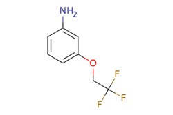 eMolecules​ 3-(2,2,2-Trifluoroethoxy)aniline | 123207-61-4 | MFCD07432790