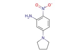 eMolecules​ 2-Nitro-5-(pyrrolidin-1-yl)aniline | 289913-98-0 | MFCD00545947