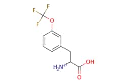 eMolecules​ 3-(Trifluoromethoxy)-DL-phenylalanine | 439587-14-1 | MFCD04116035