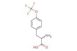 eMolecules​ 4-(Trifluoromethoxy)-DL-phenylalanine | 174732-57-1 | MFCD00764461