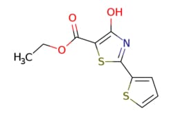 eMolecules​&nbsp;Ethyl 4-hydroxy-2-(thien-2-yl)-1,3-thiazole-5-carboxylate | 924869-00-1 | MFCD08444005 | 250mg