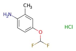 eMolecules​&nbsp;4-(Difluoromethoxy)-2-methylaniline hydrochloride | 1185175-00-1 | MFCD04967256 | 1g