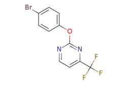 eMolecules​&nbsp;914636-83-2 | 2-(4-Bromophenoxy)-4-(trifluoromethyl)pyrimidine | Apollo Scientific | MFCD08235249 | 319.081 | C11H6BrF3N2O | 97.000 | FC(F)(F)c1ccnc(Oc2ccc(Br)cc2)n1 | 1g | 562444102