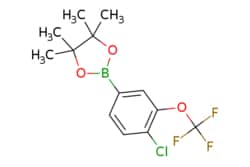 eMolecules​ 2-(4-Chloro-3-(trifluoromethoxy)phenyl)-4,4,5,5-tetramethyl-1,3,2-dioxaborolane