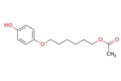 eMolecules​ 6-(4-Hydroxyphenoxy)hexyl acetate | 136833-92-6 | MFCD31382114