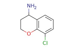 eMolecules​ 8-Chlorochroman-4-amine | 770690-25-0 | MFCD07374051 | 1g,
