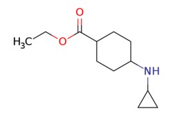 eMolecules​ Ethyl 4-(cyclopropylamino)cyclohexanecarboxylate | 1083048-96-7