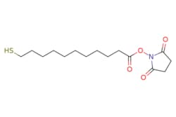 eMolecules​&nbsp;11-Mercaptoundecanoic acid 2,5-dioxo-1-pyrrolidinyl ester | 240125-70-6 |  | 1g