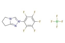 eMolecules​&nbsp;6,7-Dihydro-2-pentafluorophenyl-5H-pyrrolo[2,1-c]-1,2,4-triazolium tetrafluoroborate, min. 98% | 862095-91-8 | MFCD08459335 | 1g