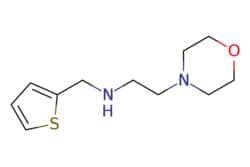 eMolecules​ 2-Morpholino-N-(thiophen-2-ylmethyl)ethan-1-amine | 775293-39-5