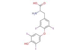 eMolecules​ O-(4-Hydroxy-3,5-diiodophenyl)-3,5-diiodo-L-tyrosine | 51-48-9