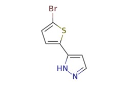 eMolecules​ 5-(5-Bromo-2-thienyl)-1H-pyrazole | 166196-67-4 | MFCD00120516