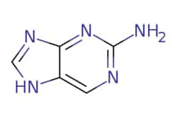 eMolecules​&nbsp;7H-Purin-2-amine | 452-06-2 | MFCD00005566 | 1g