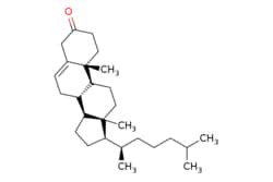 eMolecules​ 5-Cholesten-3-one | 601-54-7 | MFCD00009940 | 500mg, Quantity: