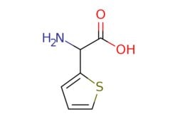 eMolecules​ 2-(THIOPHEN-2-YL)GLYCINE | 21124-40-3 | MFCD00005449 | 5g,