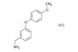 eMolecules​ 3-(4-METHOXYPHENOXY)BENZYLAMINE HCL | 1170566-12-7 | MFCD03840098 | 1g