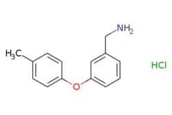 eMolecules​&nbsp;3-(4-METHYLPHENOXY)BENZYLAMINE HCL | 1170821-68-7 | MFCD03840100 | 1g