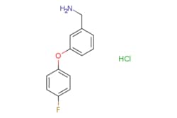 eMolecules​ 3-(4-FLUOROPHENOXY)BENZYLAMINE HCL | 1185096-94-9 | MFCD03840099