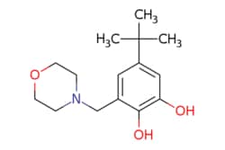 eMolecules​ 5-(TERT-BUTYL)-3-(MORPHOLINOMETHYL)BENZENE-1,2-DIOL | 25825-31-4