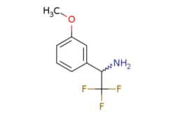 eMolecules​ 2,2,2-TRIFLUORO-1-(3-METHOXYPHENYL)ETHANAMINE | 856758-72-0