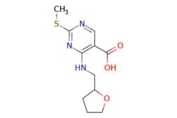 eMolecules​ 2-(METHYLTHIO)-4-((TETRAHYDROFURAN-2-YL)METHYLAMINO)PYRIMIDINE-5-CARBOXYLIC ACID | 1065075-56-0 | MFCD11100916 | 1g