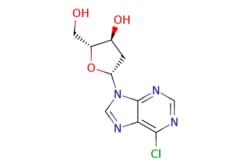 eMolecules​ 6-CHLORO-9-(2'-DEOXYRIBOFURANOSYL) PURINE | 4594-45-0 | MFCD00083282