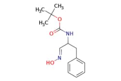 eMolecules​ TERT-BUTYL 1-(HYDROXYIMINO)-3-PHENYLPROPAN-2-YLCARBAMATE | 1033194-57-8 | MFCD11040514 | 1g