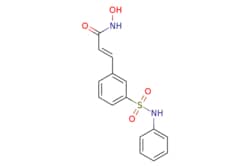 eMolecules​ N-HYDROXY-3-(3-PHENYLSULFAMOYLPHENYL)ACRYLAMIDE | 866323-14-0