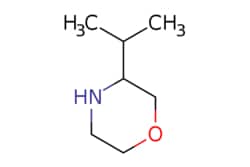 eMolecules​ 3-ISOPROPYLMORPHOLINE | 927802-40-2 | MFCD09054775 | 1g, Quantity: