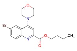 eMolecules​&nbsp;BUTYL 6-BROMO-4-MORPHOLINOQUINOLINE-2-CARBOXYLATE | 887589-60-8 | MFCD07783799 | 1g