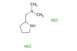 eMolecules​ N,N-DIMETHYL-1-(PYRROLIDIN-2-YL)METHANAMINE DIHYDROCHLORIDE