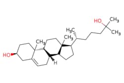 eMolecules​&nbsp;25-HYDROXYCHOLESTEROL | 2140-46-7 | MFCD00057815 | 0.25g