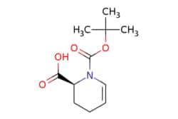 eMolecules​ (S)-1-BOC-2-PIPERIDENE-6-CARBOXYLIC ACID | 222851-92-5 | MFCD09261341