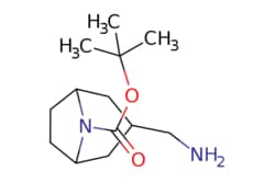 eMolecules​ N-BOC-3-AMINOMETHYL-8-AZABICYCLO[3.2.1]OCTANE | 1159826-40-0