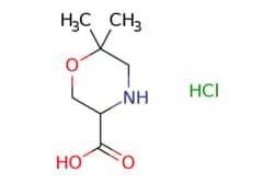 eMolecules​ 6,6-DIMETHYL-MORPHOLINE-3-CARBOXYLIC ACID HCL | 1255098-60-2